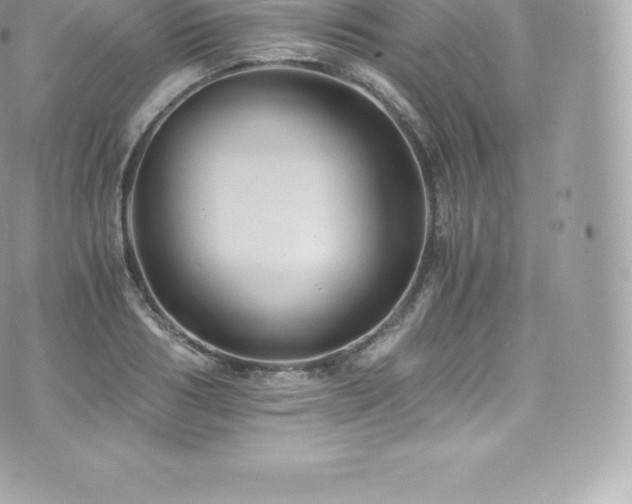 X0000073900986200608111126