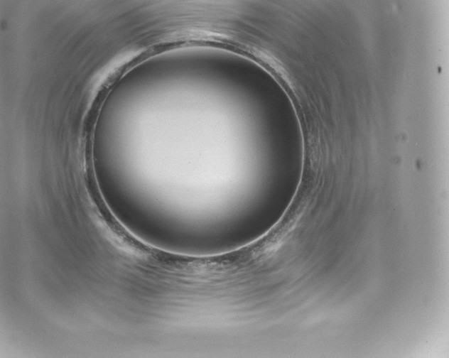 X0000073900987200608111126