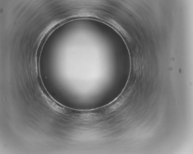 X0000073900988200608111126