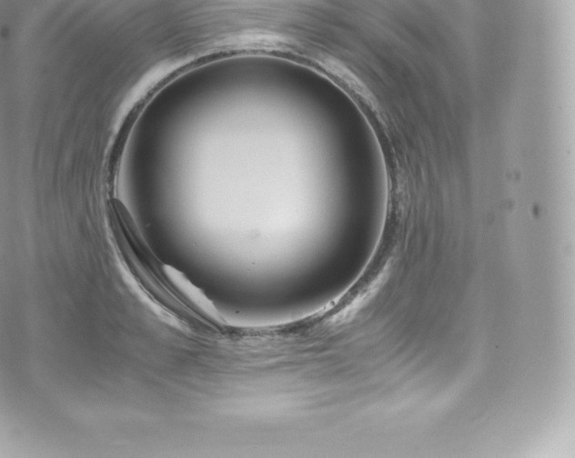 X0000073900989200608111126