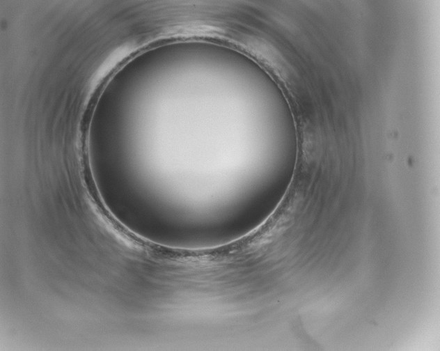 X0000073900990200608111126