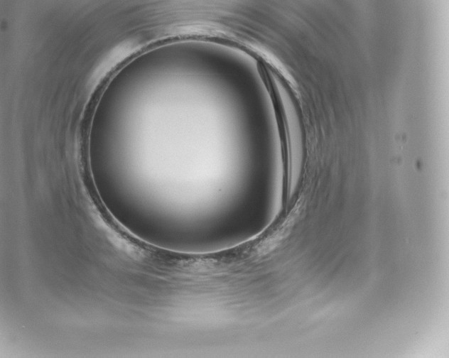 X0000073900991200608111126