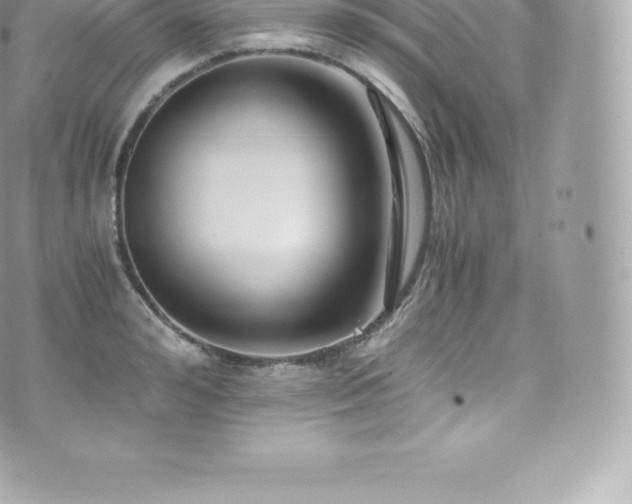 X0000073900992200608111126