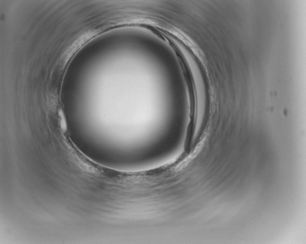 X0000073900993200608111125