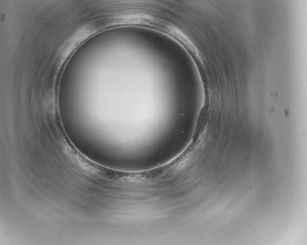 X0000073900994200608111125