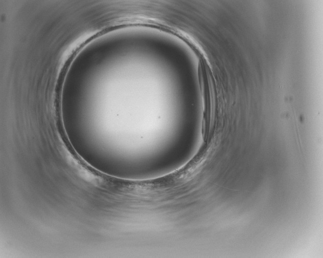 X0000073900995200608111125