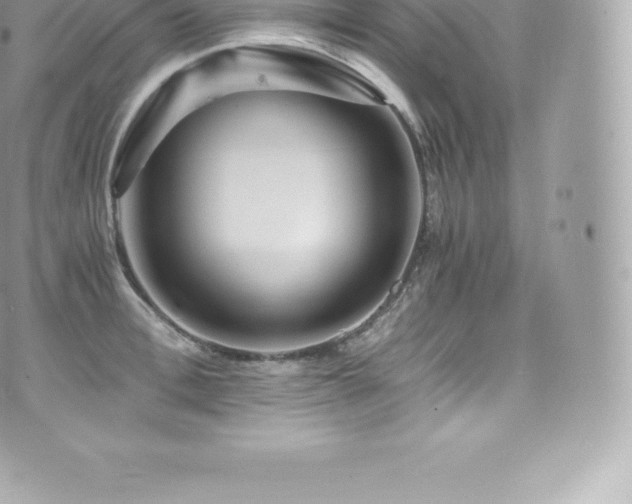 X0000073900996200608111125