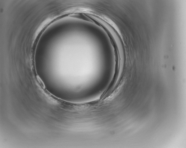 X0000073900997200608111125