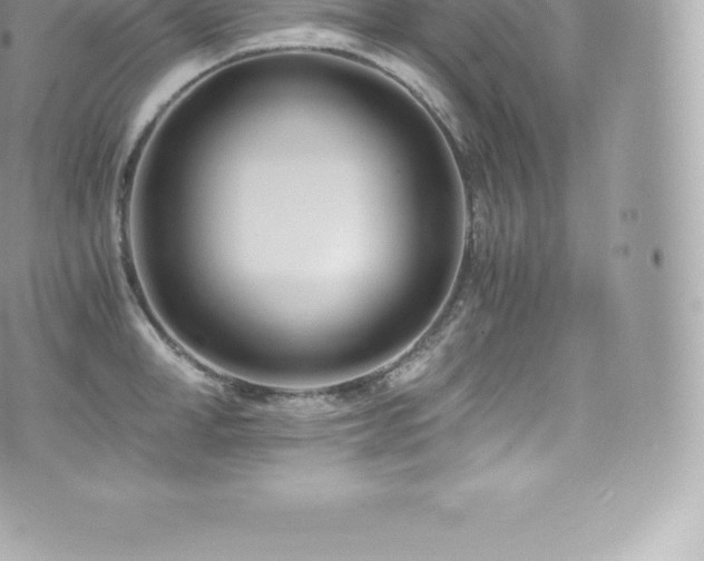 X0000073900998200608111125