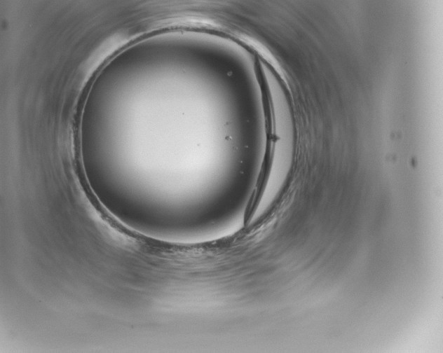 X0000073900999200608111125