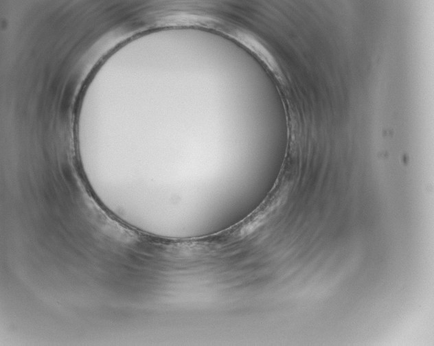 X0000073901000200608111125