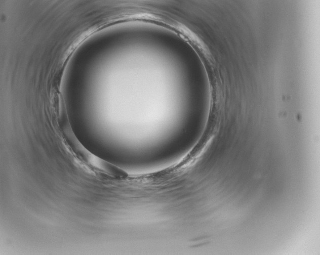 X0000073901001200608111125