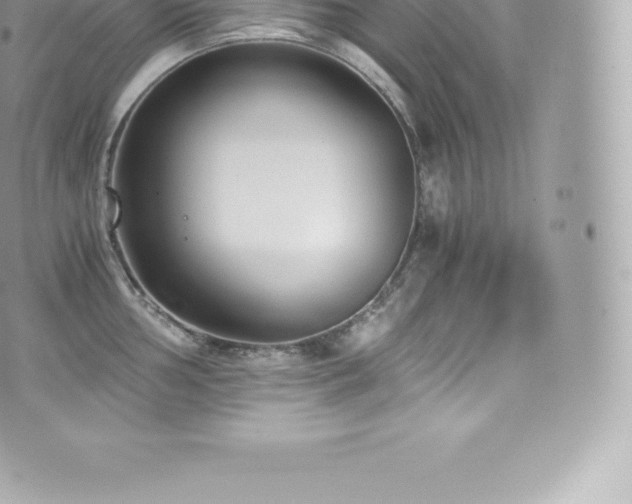 X0000073901002200608111125