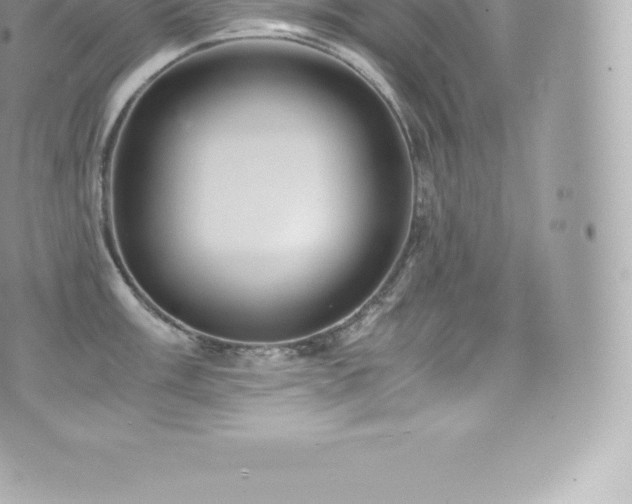 X0000073901003200608111125