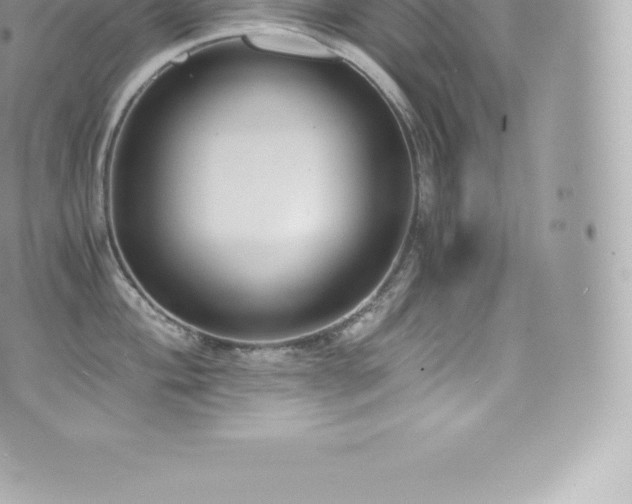 X0000073901004200608111125