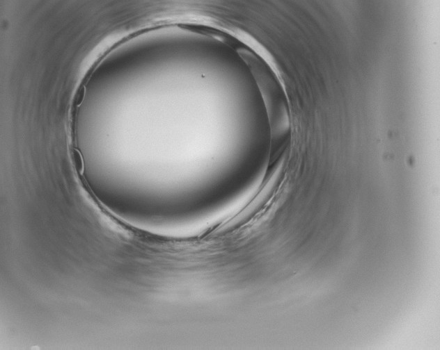 X0000073901005200608111125