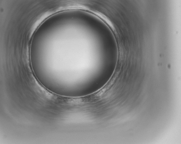 X0000073901006200608111125