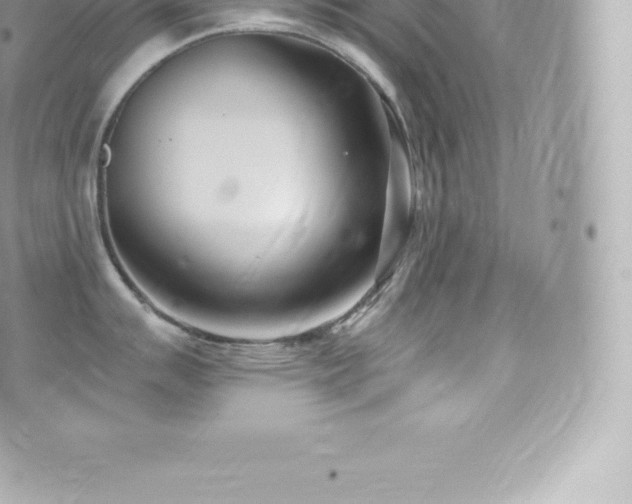 X0000073901007200608111125