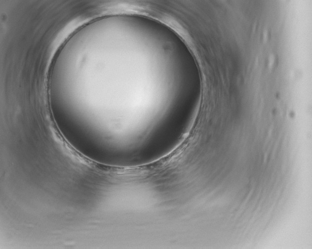 X0000073901008200608111125