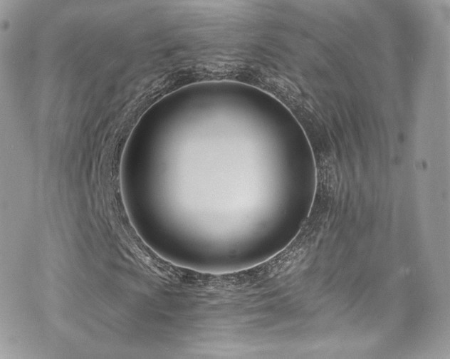 X0000073901009200608111124