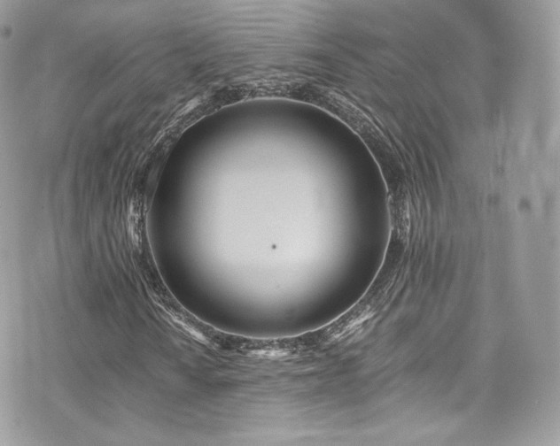 X0000073901010200608111124