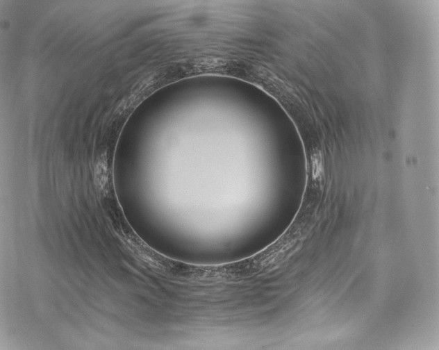 X0000073901011200608111125