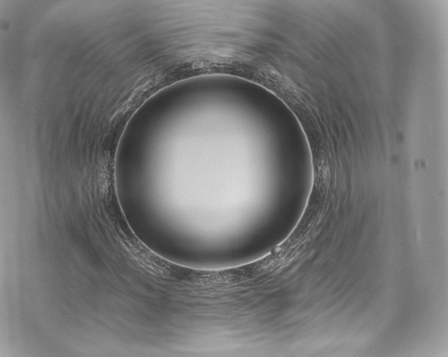 X0000073901012200608111125