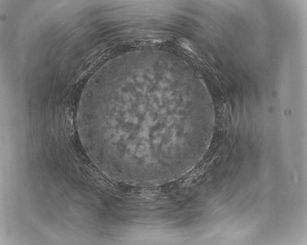 X0000073901013200608111125