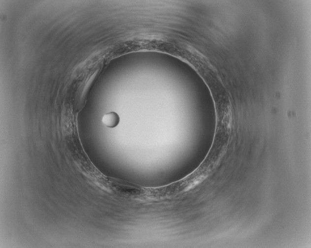 X0000073901014200608111125