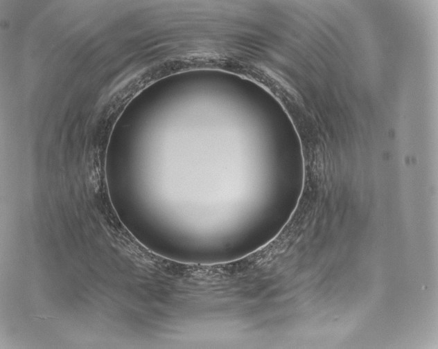 X0000073901015200608111125