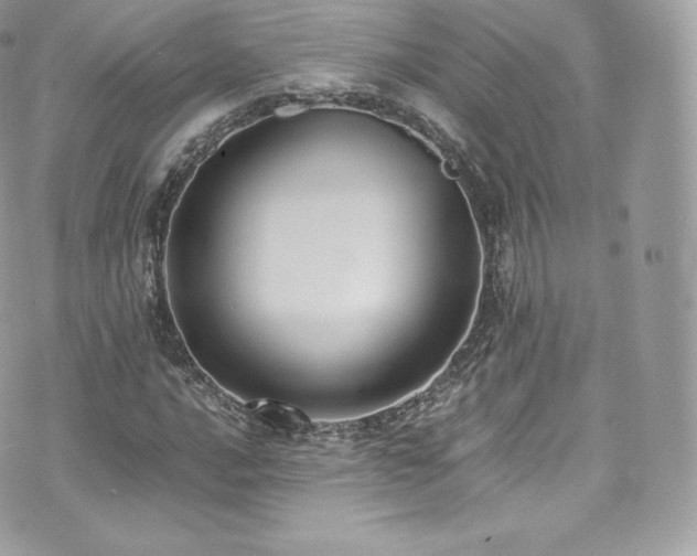 X0000073901016200608111125