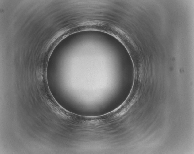 X0000073901017200608111125