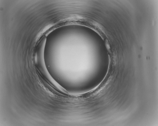 X0000073901018200608111125