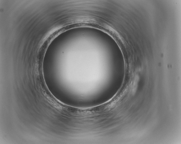 X0000073901019200608111125