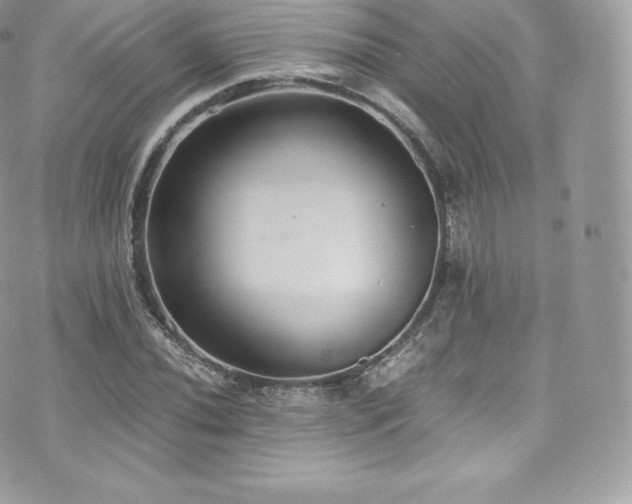 X0000073901020200608111125