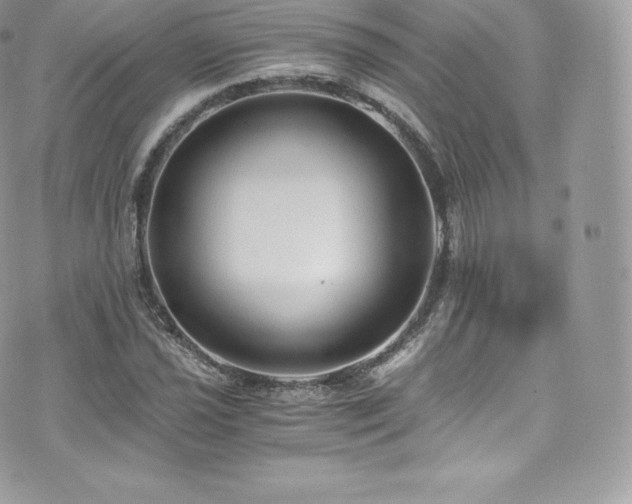 X0000073901021200608111125