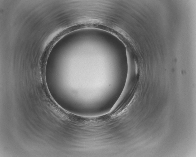 X0000073901022200608111125