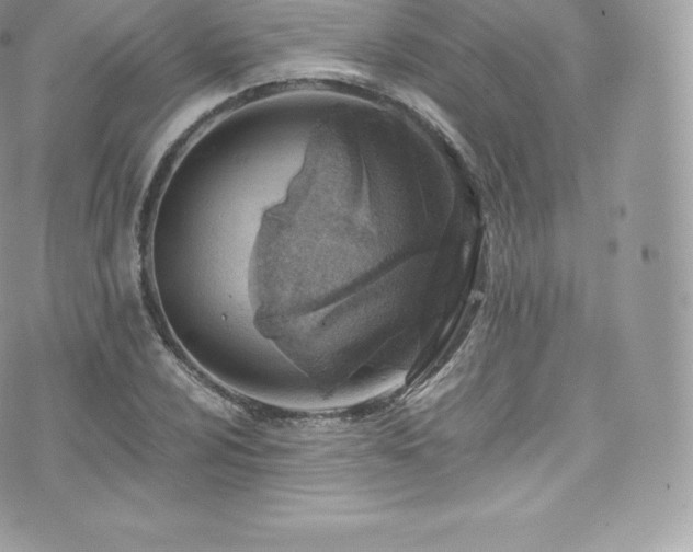 X0000073901024200608111125