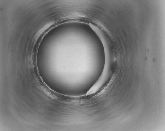 X0000073901026200608111125