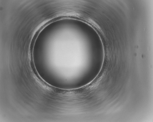 X0000073901028200608111125