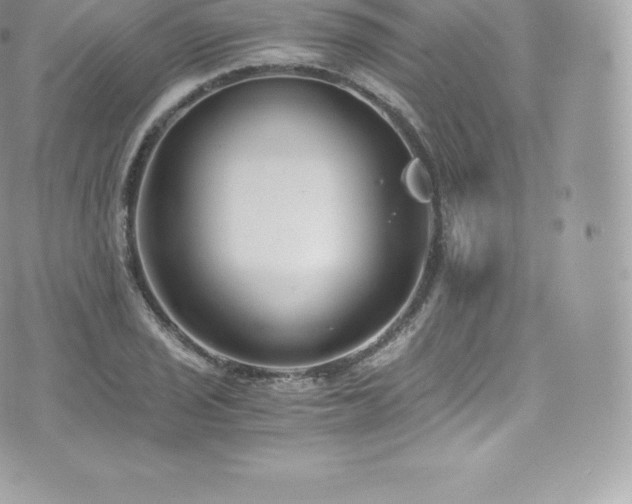 X0000073901029200608111125