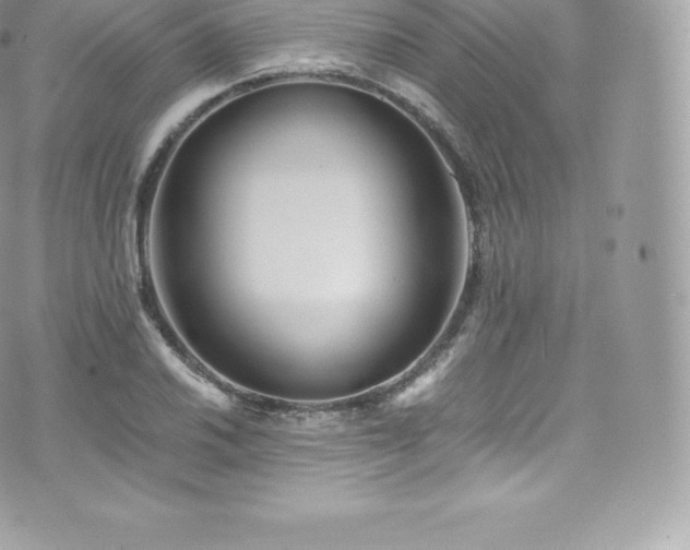 X0000073901030200608111125