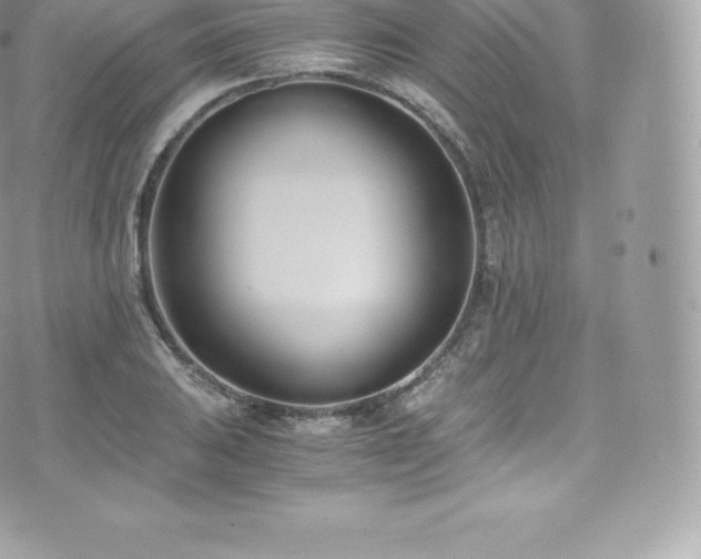 X0000073901031200608111125