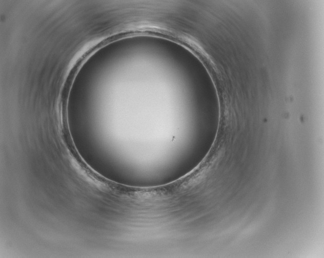 X0000073901032200608111125