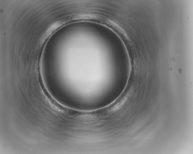 X0000073901033200608111125