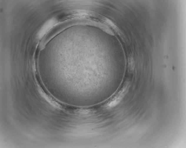 X0000073901034200608111125