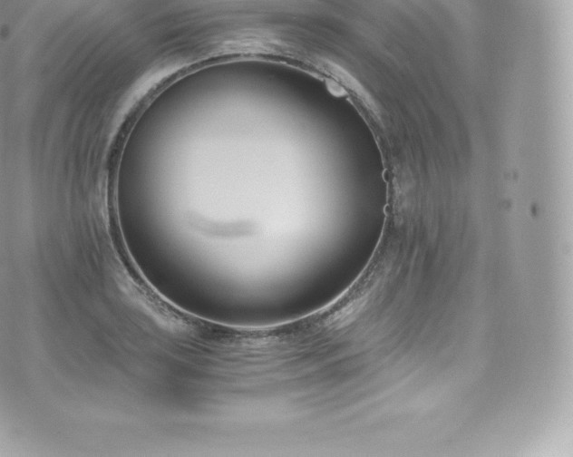 X0000073901035200608111125