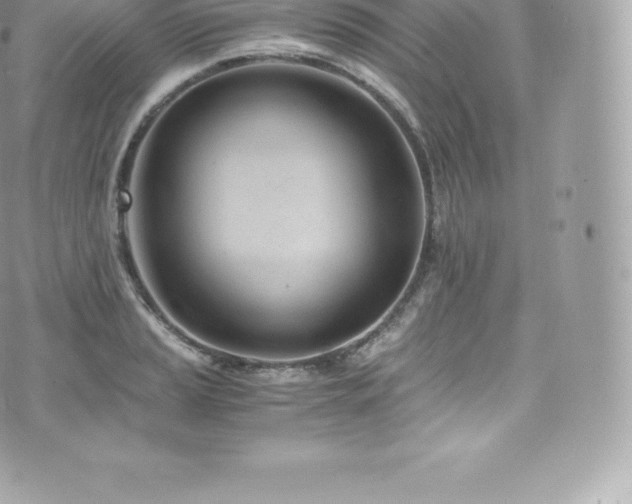 X0000073901037200608111125