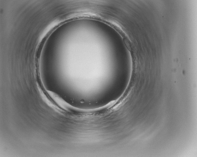 X0000073901038200608111125