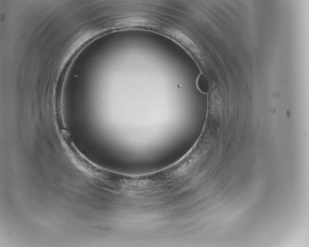 X0000073901039200608111125